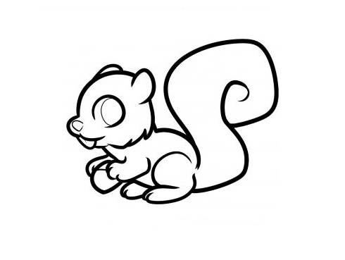 小松鼠简笔画图片大全