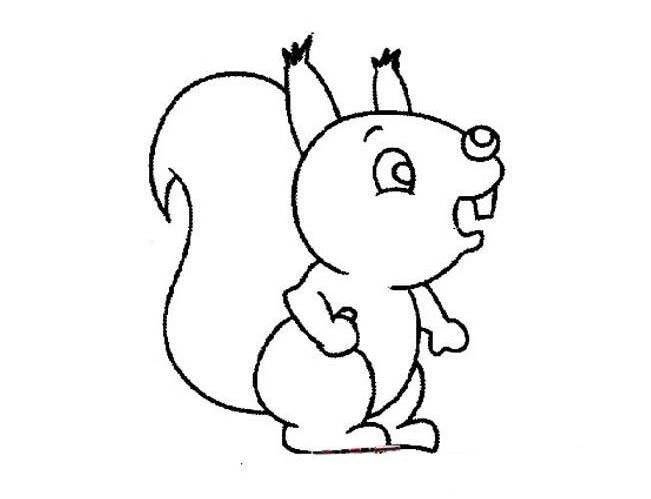 幼儿动物简笔画