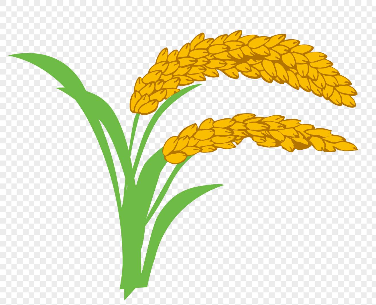 稻子简笔画图片大全