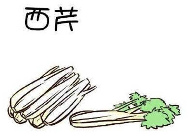 芹菜简笔画图片大全