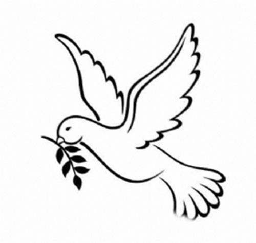 白鸽简笔画图片大全