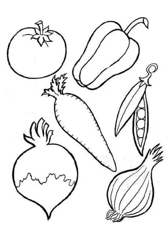 蔬菜 简笔画